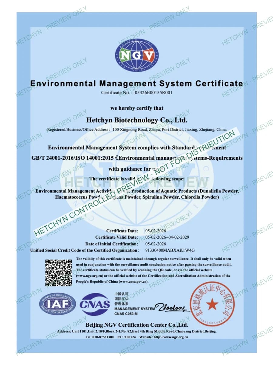 Protected watermarked preview of ISO 14001 credential