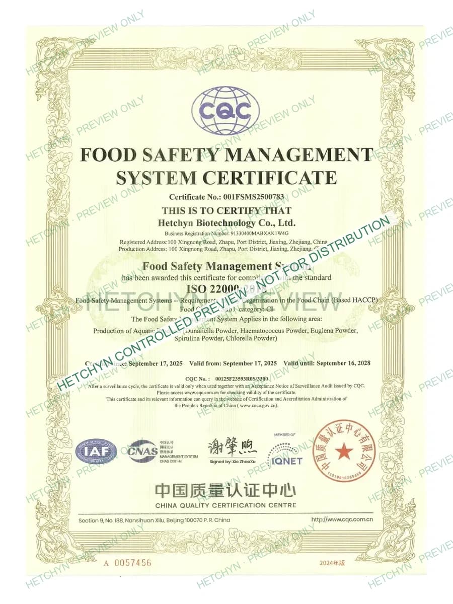 Protected watermarked preview of ISO 22000 credential