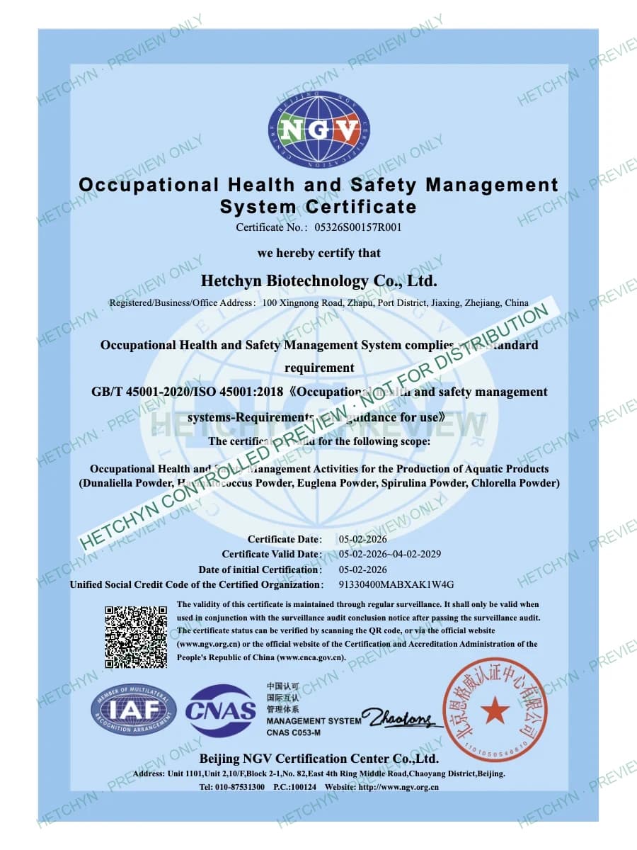 Protected watermarked preview of ISO 45001 credential